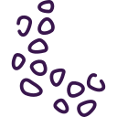 Scattered flowers
